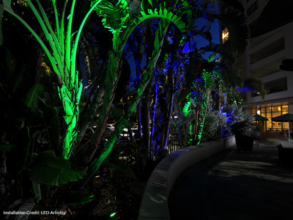 Visionary 2 Spotlight Application Photo