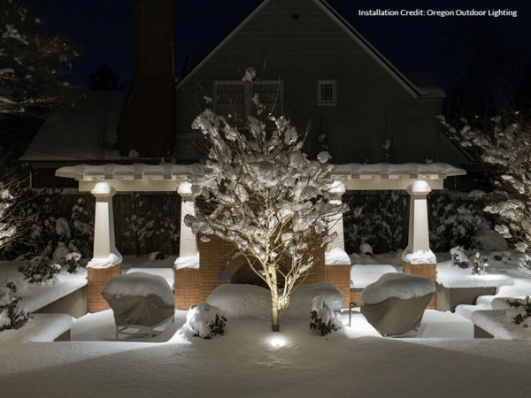 P10 Path Light Application Photo