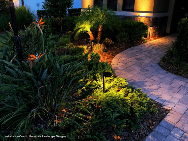 P12 Path Light Application Photo