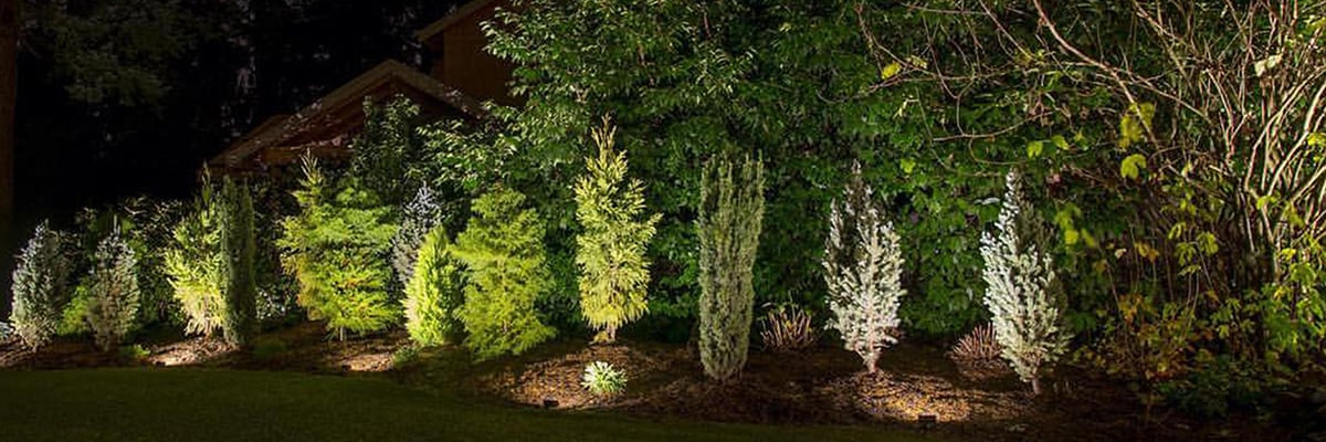 Led Landscape Lights Why Are They, Outdoor Landscape Lights