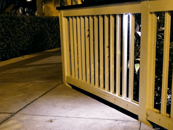 Tiger Eye Specialty Light Application Photo