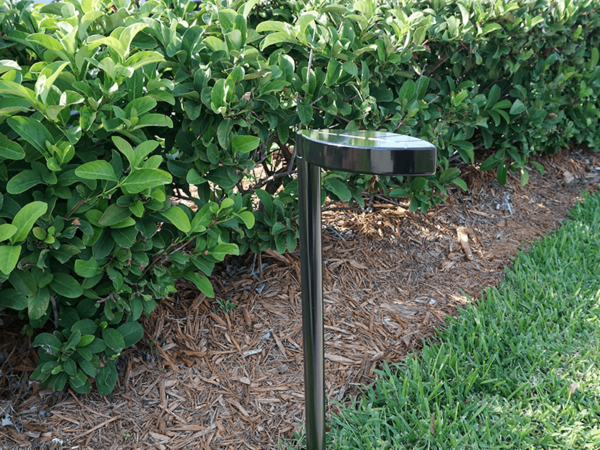 Traditional Leaf Path Light Application Photo