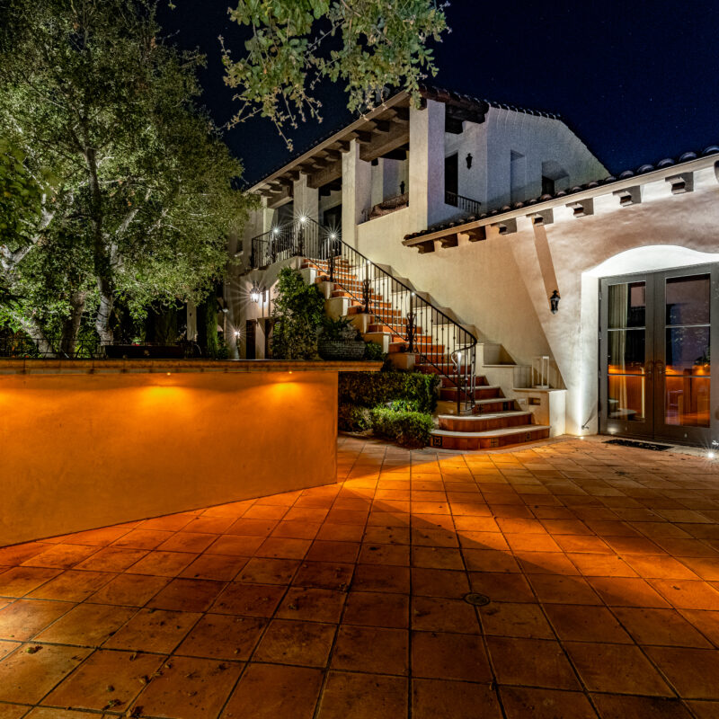 OWL-TF | Turtle Friendly Owl - Image 3