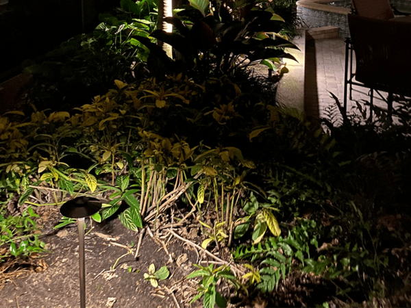 P14 Path Light Application Photo
