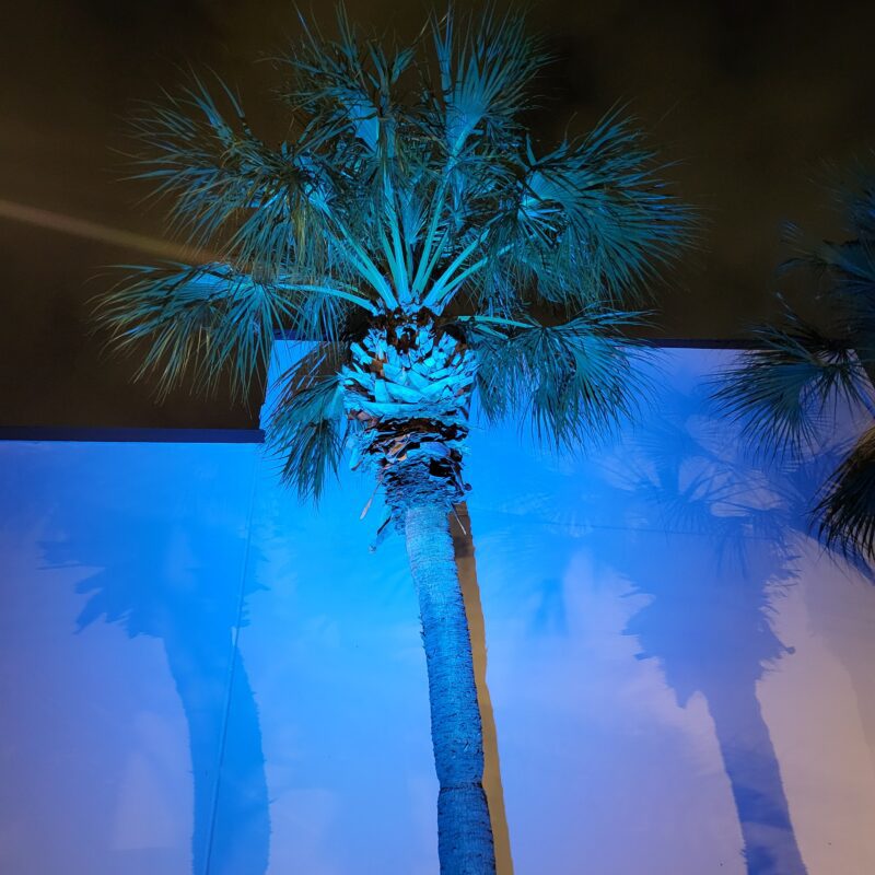 C1 RGBW DMX Spotlight - Image 6