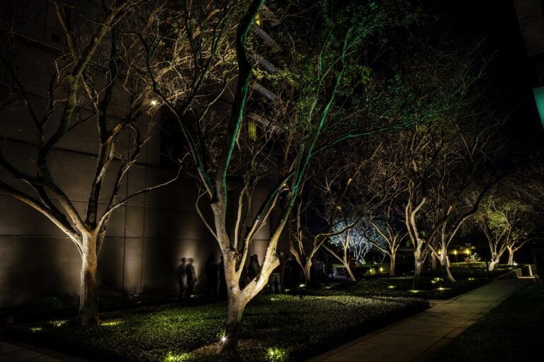 Case Studies - Garden Light LED | Premium Outdoor & Landscape Lighting