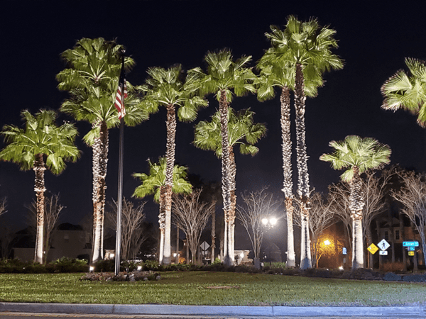 X5 High Power Spotlight Application Photo