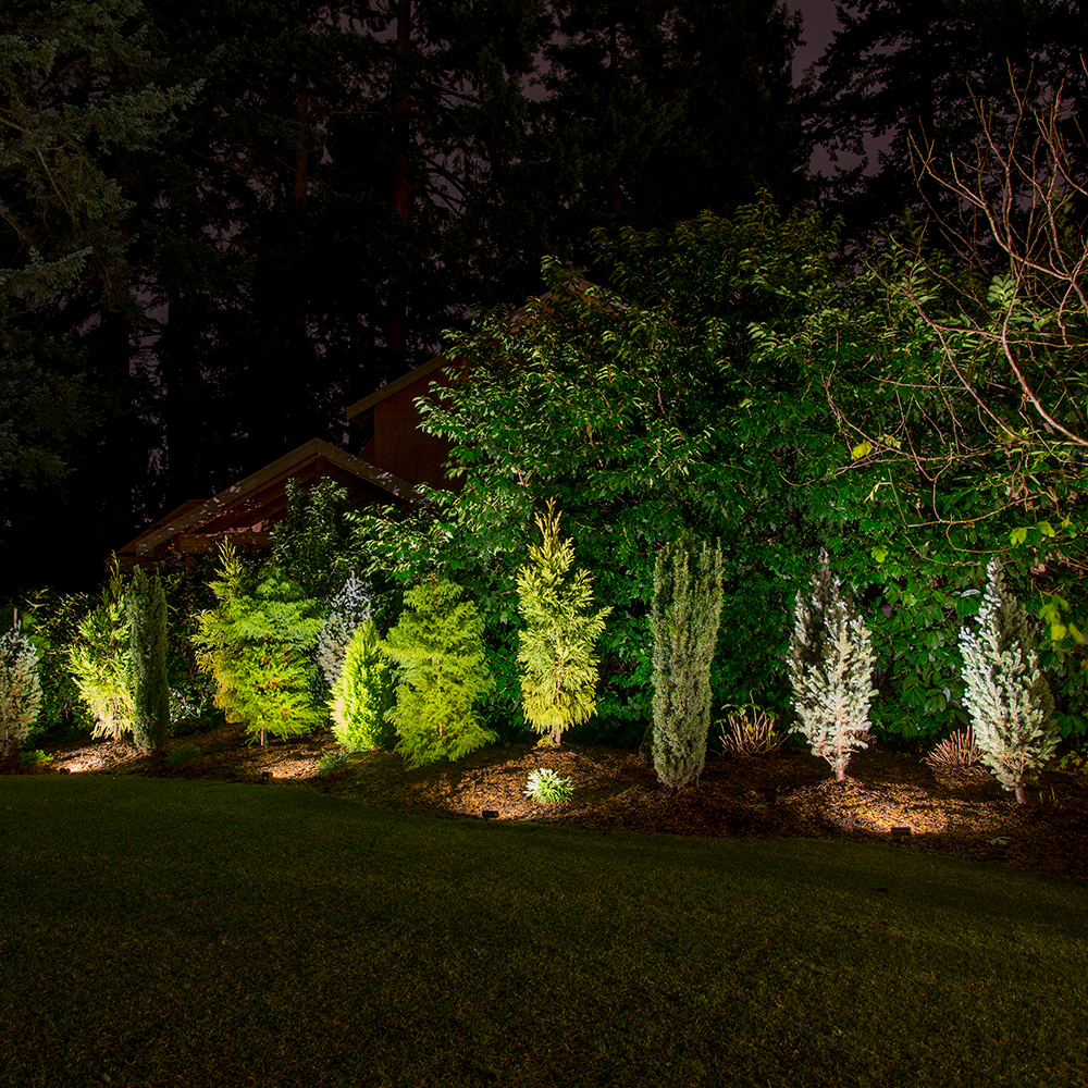 Wall Washer creating broad illumination across layered shrubs and small trees