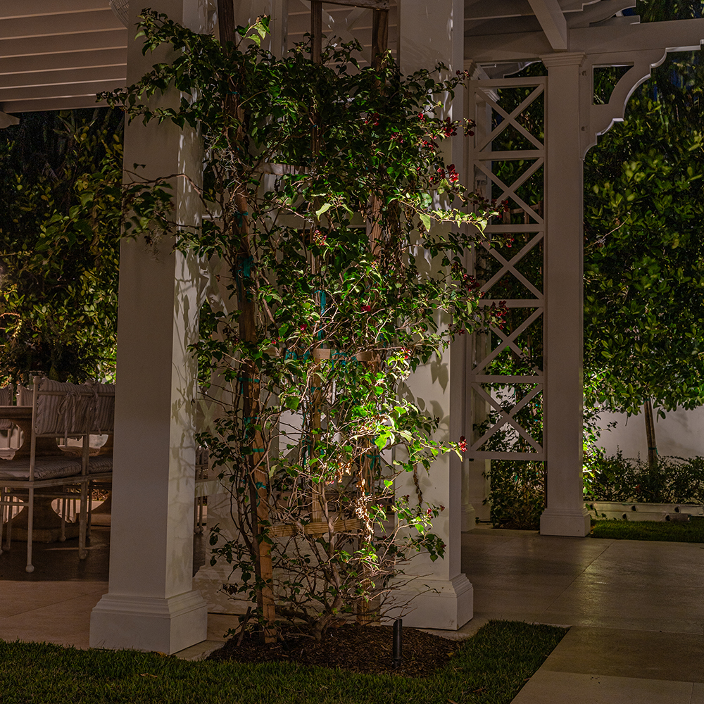 MS Mini Spotlight with Knuckle used for compact planting and column accent lighting