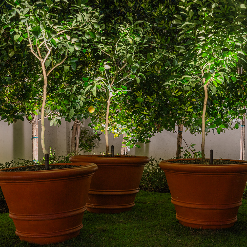 MSL Mini Spotlight with Leg used for planter and small tree uplighting