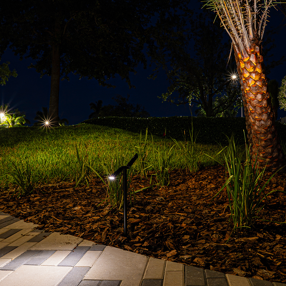 P9 Dual Path Light illuminating a walkway edge and palm trunk