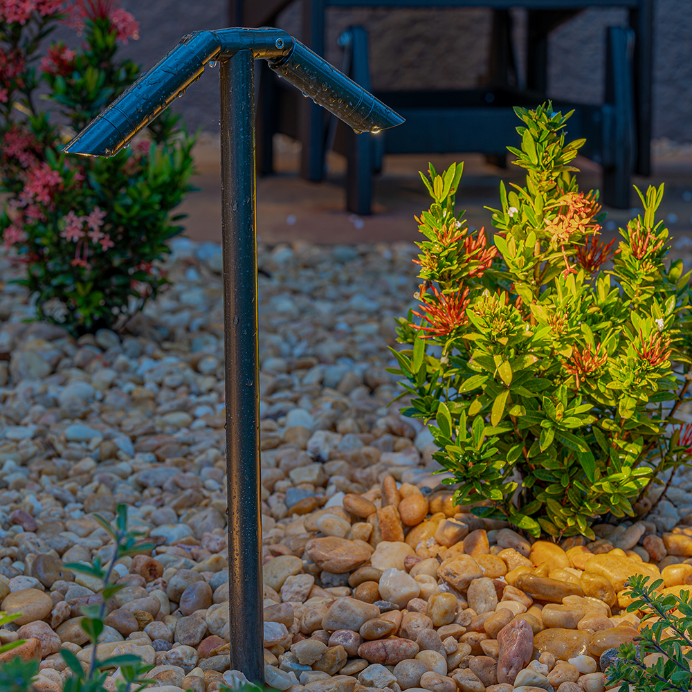 P9 Dual Path Light in Architectural Bronze finish 
