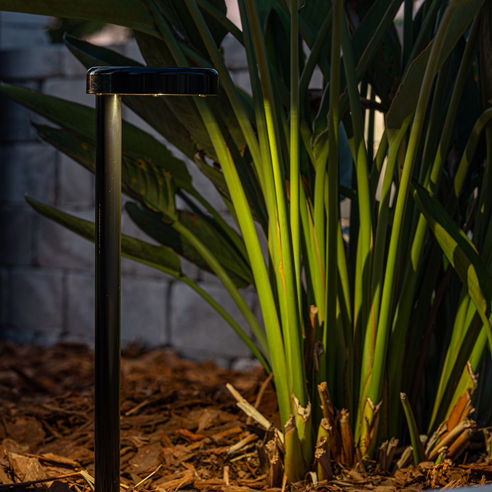 Garden Light LED P12 Path Light