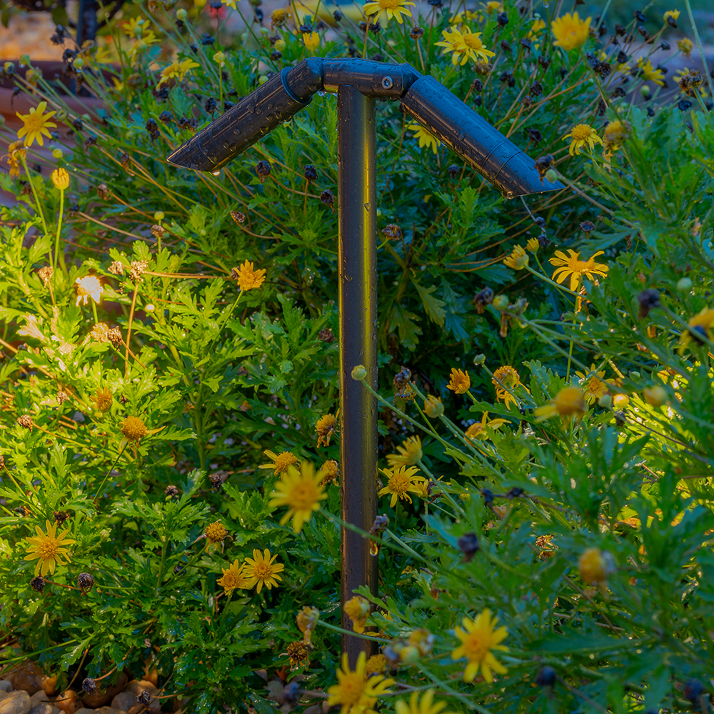 Garden Light LED P9 Dual Path Light