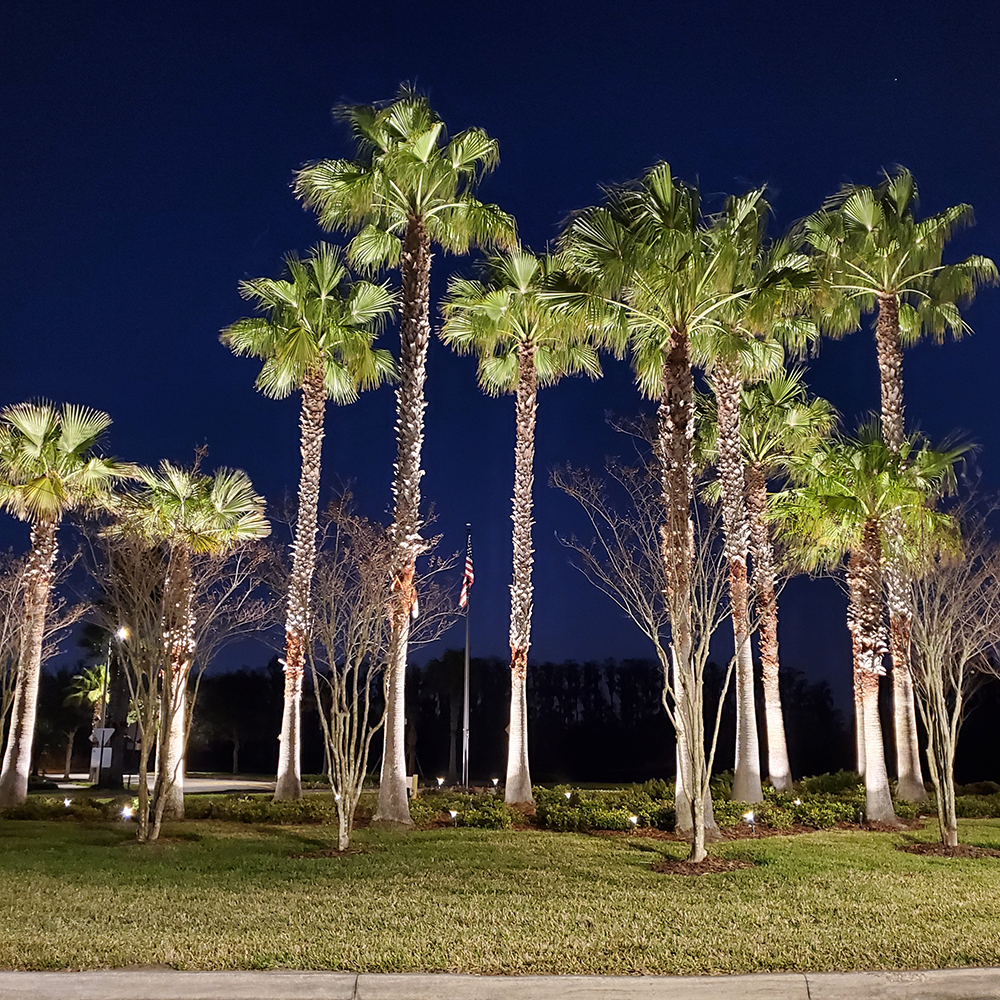 Garden Light LED X5 Spotlight