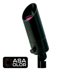 Casa Color Spotlight