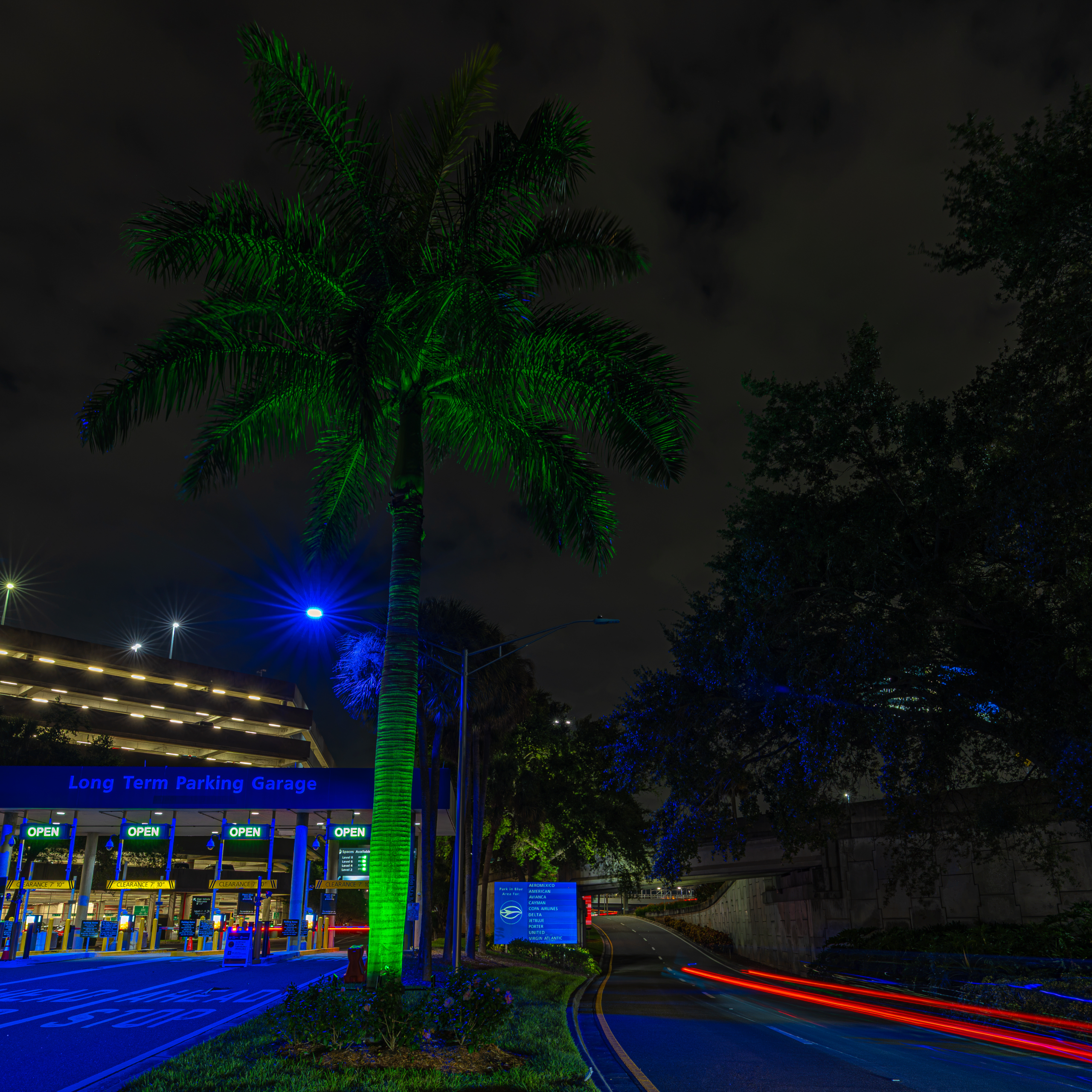 Palm tree illuminated in green beside blue and red lighting accents at night